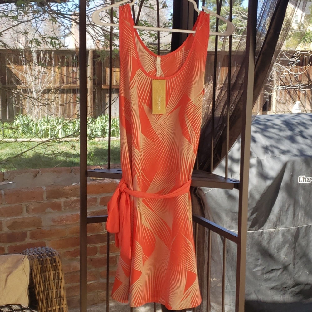 Francesca's Summer Dress